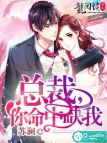总裁，你命中缺我