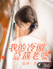 我的冷傲总裁老婆