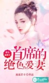 萌宝通缉令：首席的绝色爱妻