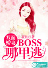 双面娇妻：BOSS哪里逃