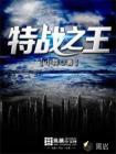 特战之王
