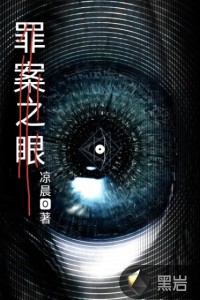 罪案之眼