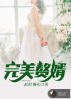 完美赘婿