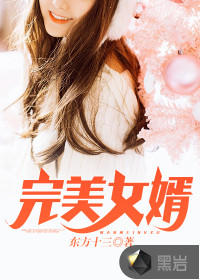 完美女婿