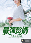 最强赘婿