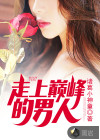 走上巅峰的男人