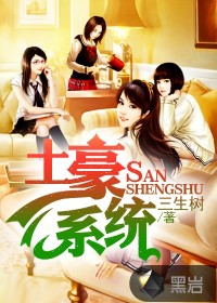 土豪系统