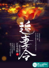 追妻令