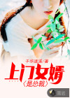 上门女婿是总裁
