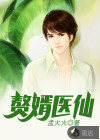 赘婿医仙