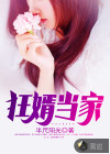 狂婿当家