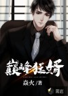 巅峰狂婿