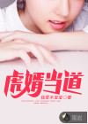 虎婿当道