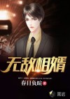 无敌相婿