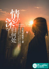 情深归何处