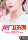 龙门狂婿