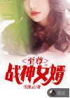 至尊战神女婿