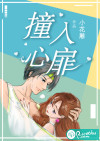 撞入心扉
