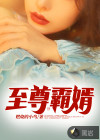 至尊霸婿