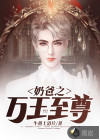 奶爸之万王至尊