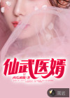 仙武医婿