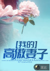我的高傲妻子