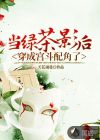 当绿茶影后穿成宫斗配角了