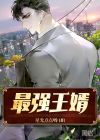 都市超强狂婿