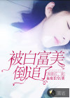 离婚后，我被白富美倒追了