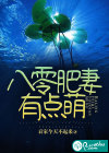 八零肥妻有点萌