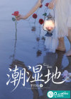 潮湿地