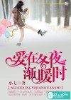 爱在冬夜渐暖时