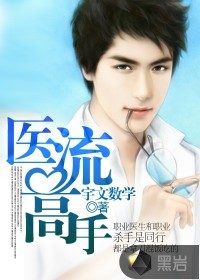 医流高手