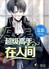 超级高手在人间
