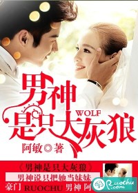 男神是只大灰狼