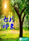 七月印象