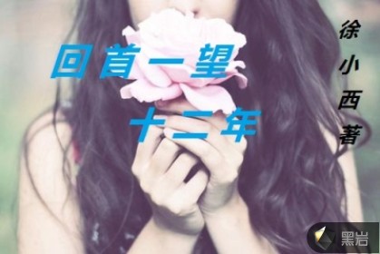 回首一望十二年
