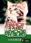 我是明星猫