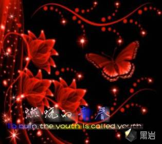 燃烧的青春