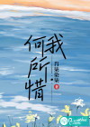 何我所惜