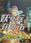 妖孽兵王在都市