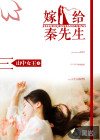 嫁给秦先生