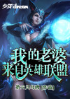 我的老婆来自英雄联盟