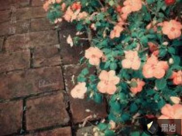 诡异的少女时代