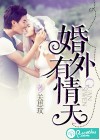 婚外有情天