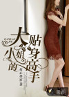 大小姐的贴身高手
