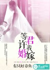 等君许我婚嫁
