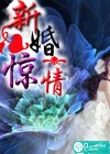 新婚惊情