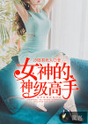 女神的神级高手