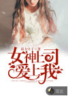 女神上司爱上我